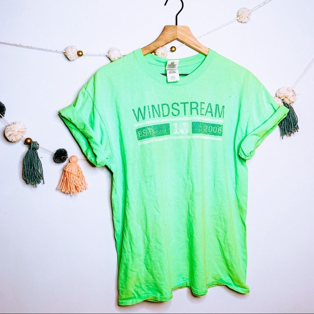 VINTAGE y2k Windstream travel graphic tee